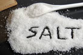 saltiness是什么意思