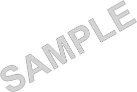 sample是什么意思