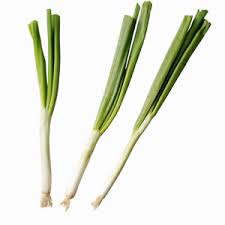 scallion是什么意思