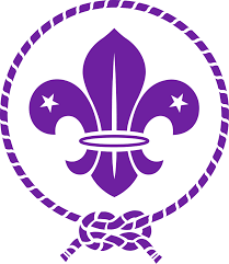 scouting是什么意思