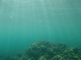 seafloor是什么意思