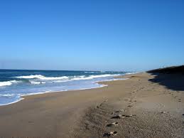 seashore是什么意思
