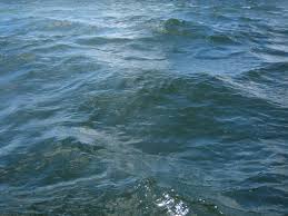 seawater是什么意思