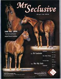 seclusive是什么意思