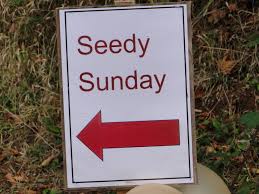seedy是什么意思