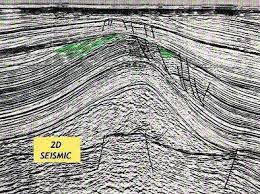 seismic是什么意思