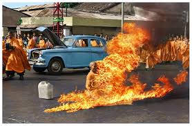 self-immolation是什么意思