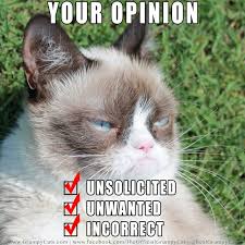 self-opinioned是什么意思