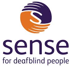 sense是什么意思