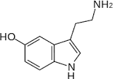 serotonin是什么意思