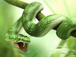 serpent是什么意思