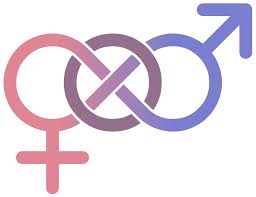 sexuality是什么意思