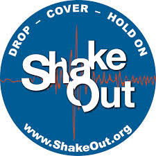 shakeout是什么意思