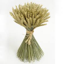 sheaf是什么意思