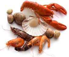 shellfish是什么意思