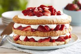 shortcake是什么意思