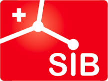 sib是什么意思