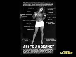 skank是什么意思
