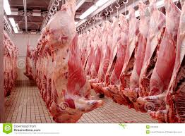 slaughter是什么意思