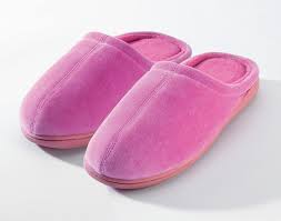 slipper是什么意思