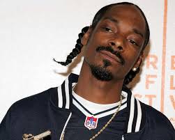 snoop是什么意思