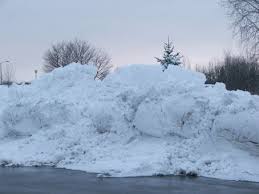 snowbank是什么意思