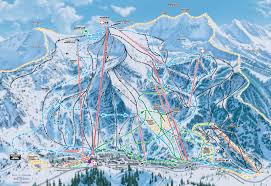 snowbird是什么意思