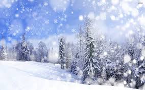 snowfall是什么意思
