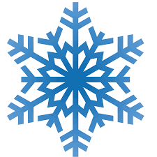 snowflake是什么意思