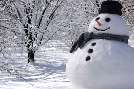 snowman是什么意思