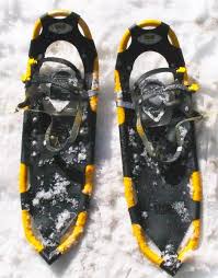 snowshoe是什么意思