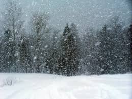 snowstorm是什么意思
