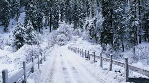 snowy是什么意思