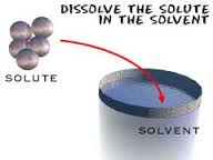 solute是什么意思
