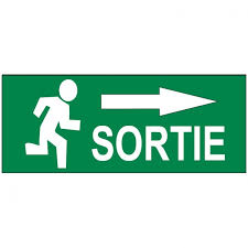 sortie是什么意思