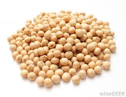 soybean是什么意思