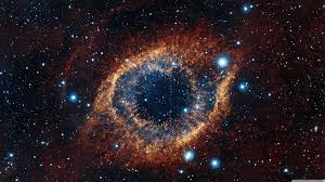 space是什么意思