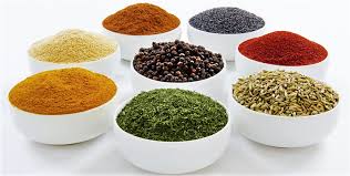 spice是什么意思