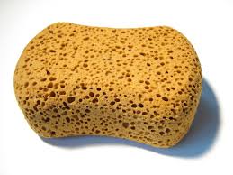 sponge是什么意思