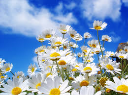 springtime是什么意思