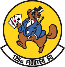 squadron是什么意思