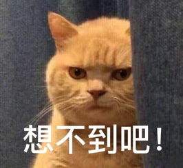 squirt是什么意思
