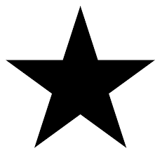 stern是什么意思