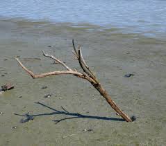 stick-in-the-mud是什么意思