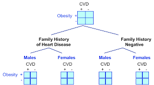 stratify是什么意思