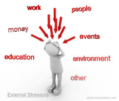 stressor是什么意思