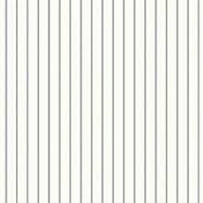 stripe是什么意思