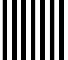 stripes是什么意思