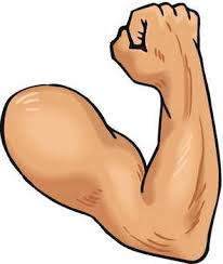 strong是什么意思