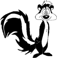 stunk是什么意思